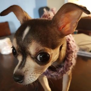 Meet your Posher, Lisa